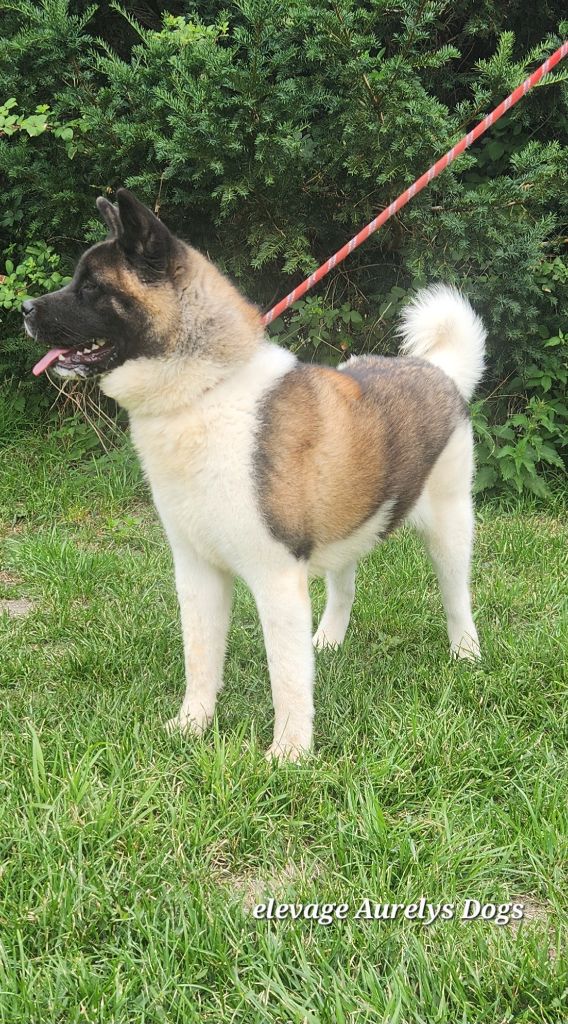 Vanille Du Domaine D'amserpa