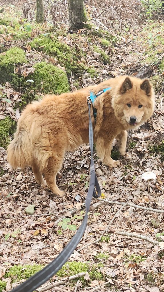 Vania Du Mistral Normand